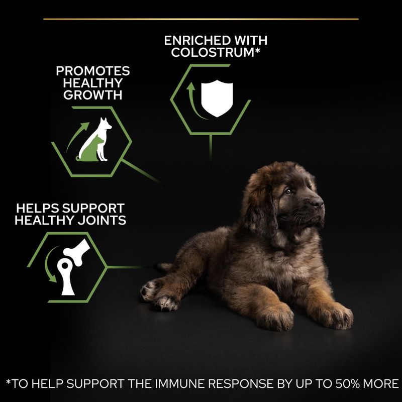 PURINA PRO PLAN Large Robust Puppy Healthy Start 3kg