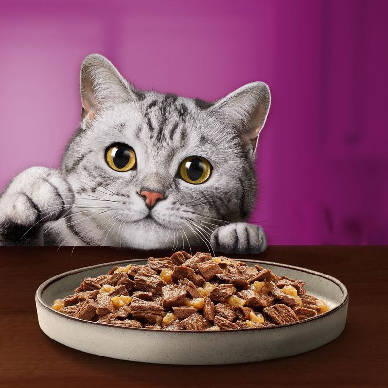 Whiskas Pure Delight Pouches 48 x 85g Mixed Stew in Jelly