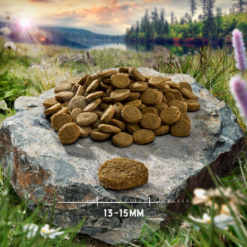 Purizon Single Meat Adult Dog Grain-Free Economy Pack 2 x 12kg Duck with Lavender Blossoms