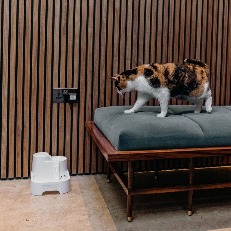 Cat Mate Drinking Fountain 2l