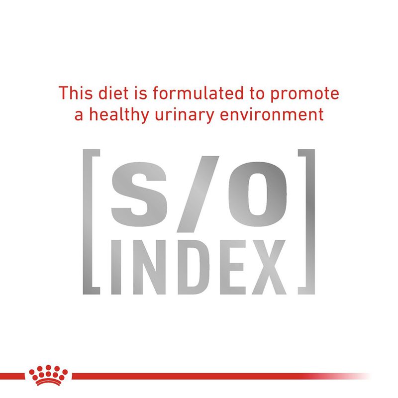 Royal Canin Veterinary - Gastrointestinal in Gravy 12 x 85g