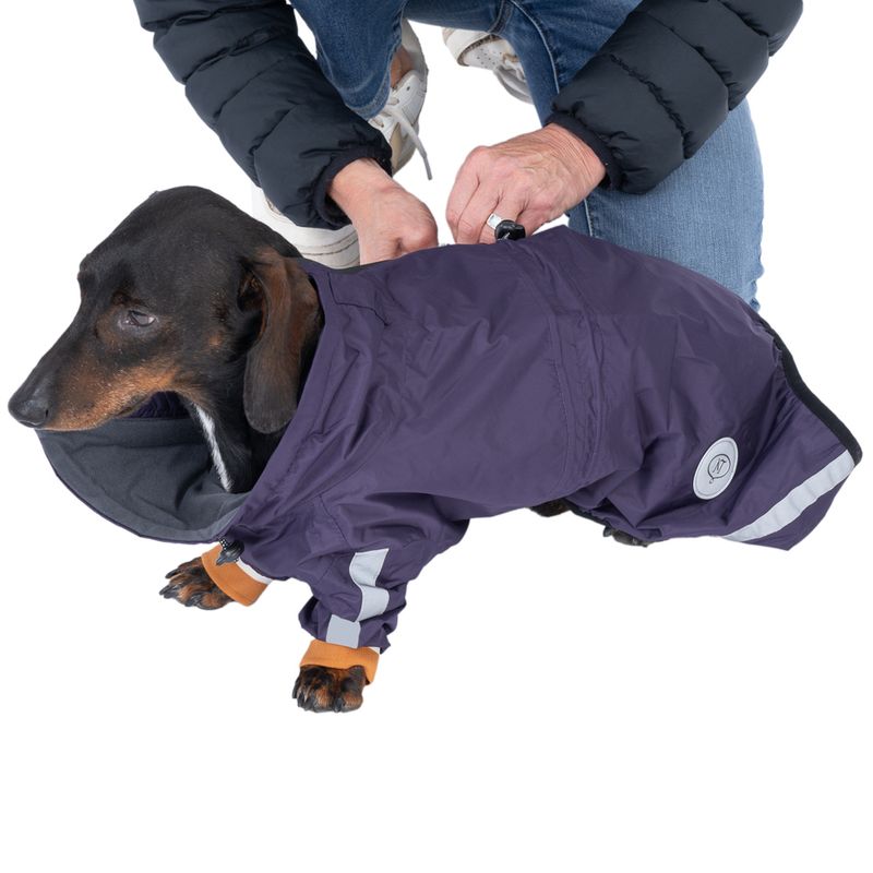 Nomad Tales Spirit Dog Overalls - Berry approx. 35cm Back Length