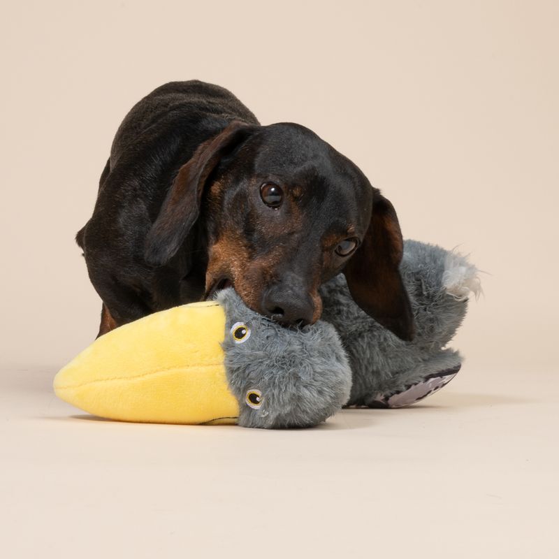 TIAKI Dodo Strong Neck Plush Toy 36 x 21 cm (L x W)