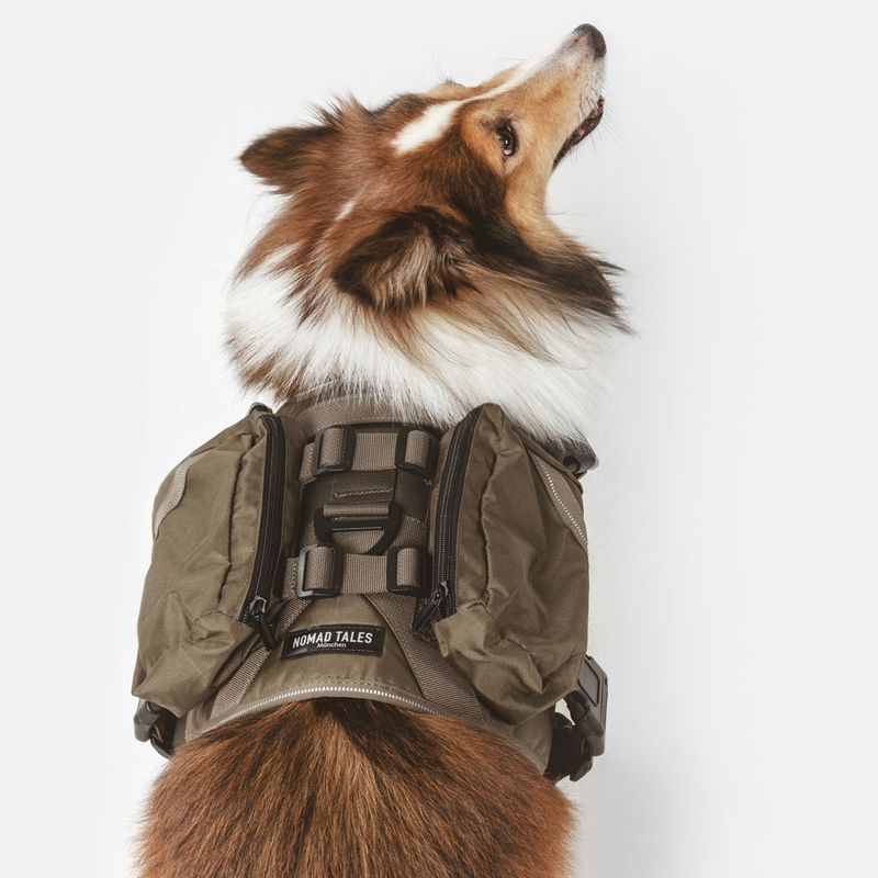 Nomad Tales Tactical dog harness M: approx. 76-91 cm chest circumference