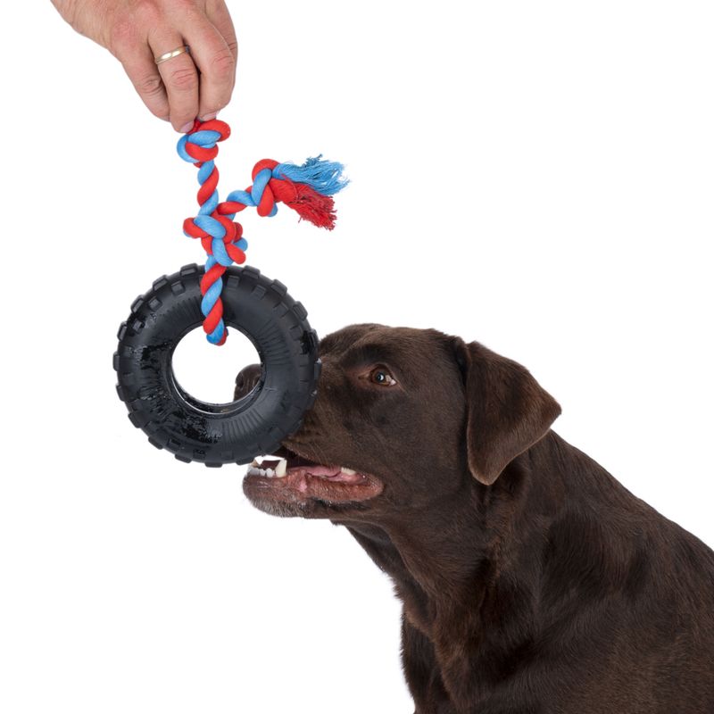 TIAKI Rubber Tyre with Rope 1 Toy