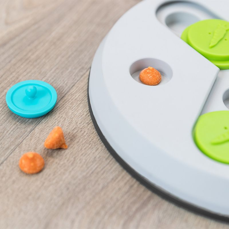 Trixie Slide & Fun Puzzle Toy 23 x 4cm (diameter x H)