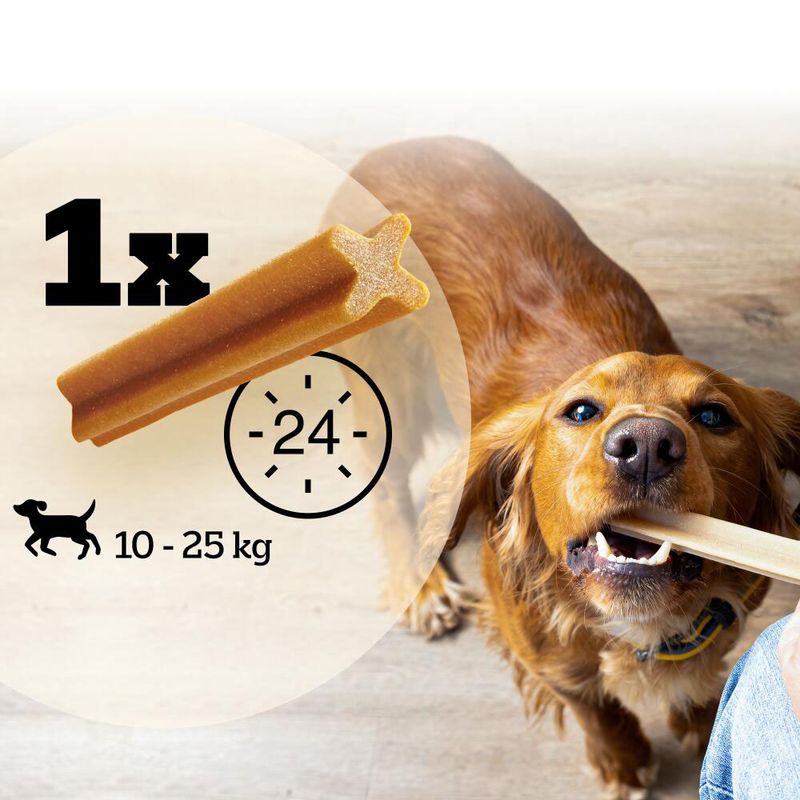 Dental care snack: Pedigree Dentastix for medium-sized dogs (10-25 kg) 5 Sticks