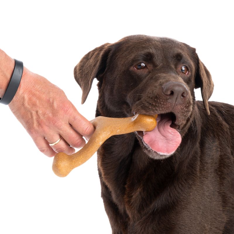 TIAKI Chew Toy with Chicken Flavour 17.5 x 12.8 x 4.7 cm (L x W x H)