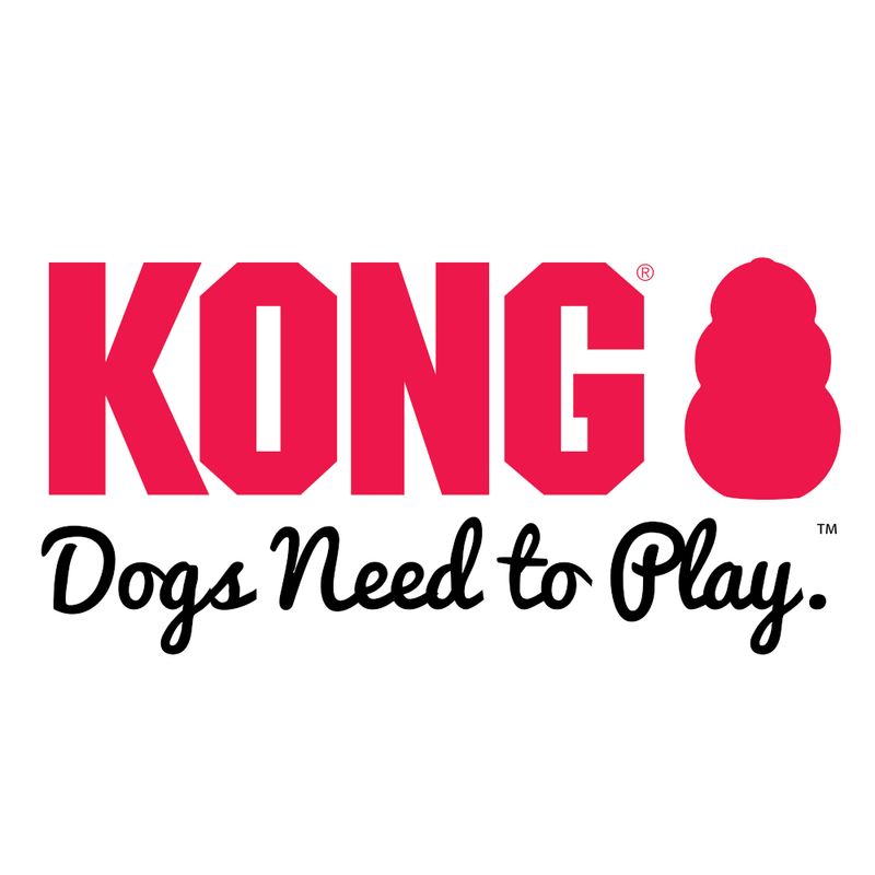 KONG Puppy Goodie Bone S