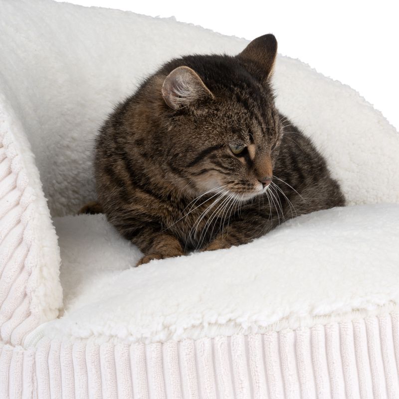 Modern Living Hella Sofa 1 Sofa