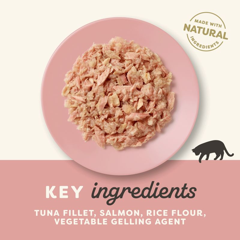 Applaws Cat Food 70g in Jelly Tuna Fillet with Salmon (6 x 70g)