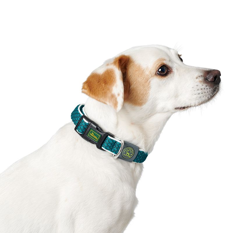 HUNTER Hilo Vario Basic Collar - Turquoise Size S-M: 30 - 43cm (Neck Circumference)
