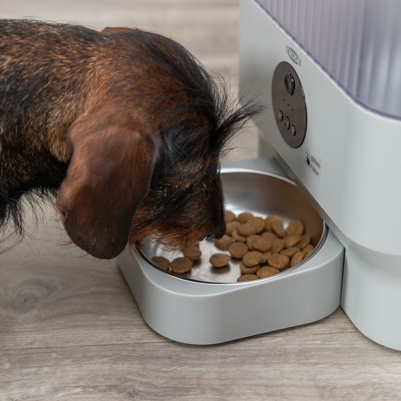 Trixie TX-C Smart Automatic Feeder Up to 5 Litres of Dry Food