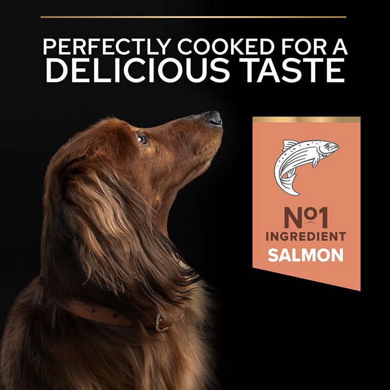 PURINA PRO PLAN Small & Mini Adult Sensitive Skin 3kg