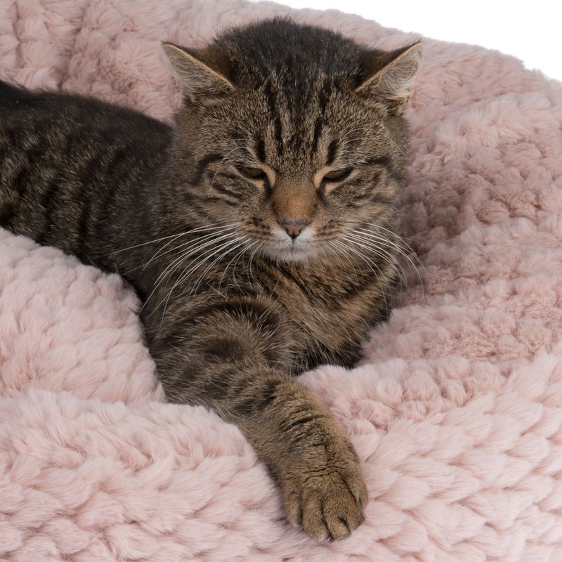 Modern Living Cidra Cuddle Bed approx. diameter 60 x (H) 23 cm