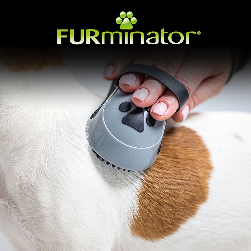 FURminator Curry Comb for Dogs 12 x 6 x 4 cm (L x W x H)