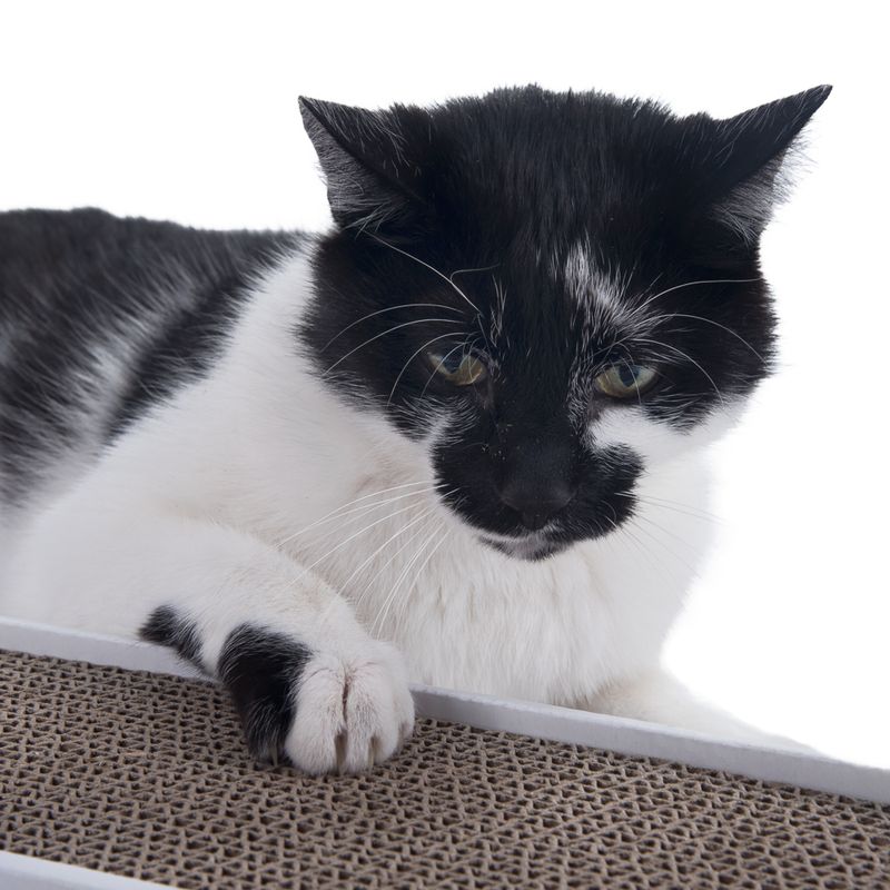 Multi-Scratch Cardboard Scratching Pad brown