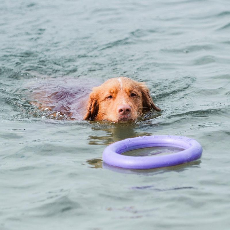 Ferplast Puller Dog Toy Midi: 19cm (Ø)