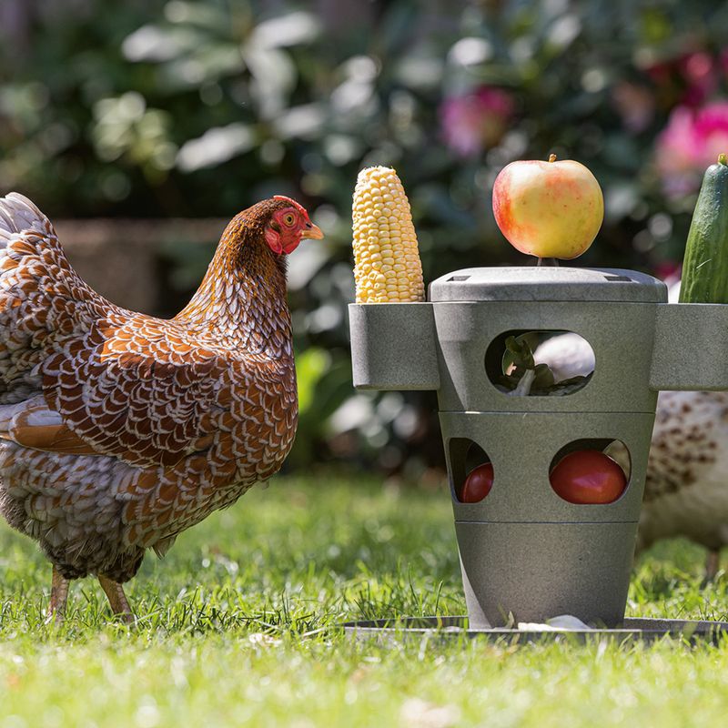 Beeztees Snack Tower for Chickens 30 x 32.5cm (diameter x H)