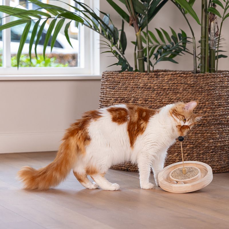 Designed by Lotte Winni Wooden Cat Toy 22 x 30cm (diameter x H)