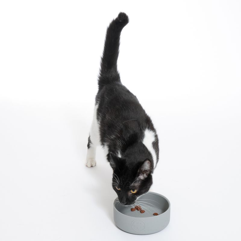 Warner Bros™ DC Batman Silicone Bowl 580ml, diameter 14cm