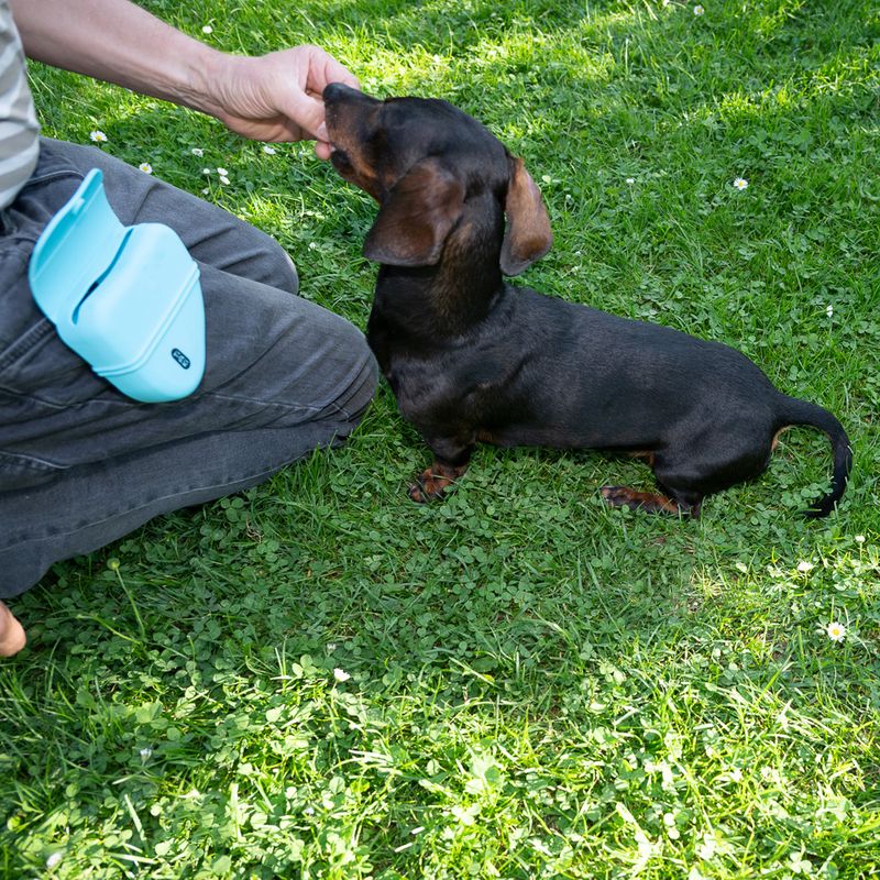 TIAKI Silicone Snack Pouch 12 x 10.6 x 4.6 cm (L x W x H)