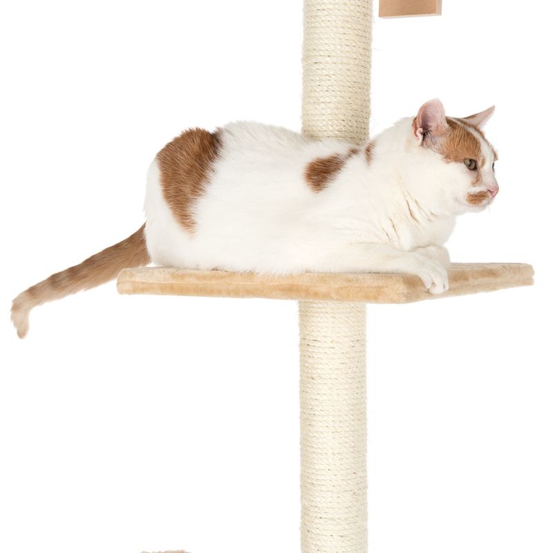 Orion Cat Tree Beige