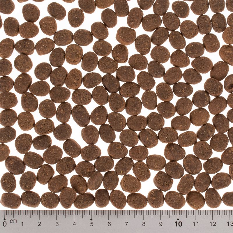 Wild Freedom - Grain-Free Trial Pack 1 x 150g Adult \