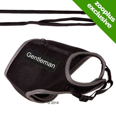 Trixie XCat Harness with Lead and Exclusive Stickers Black