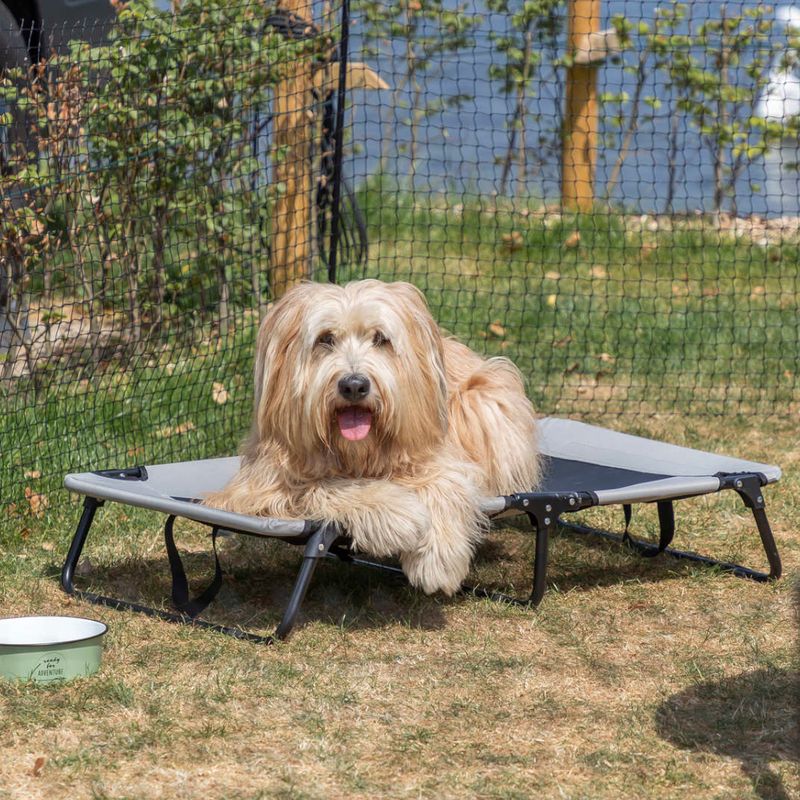 Trixie Dog Lounger 120 x 70 x 19cm (L x W x H)