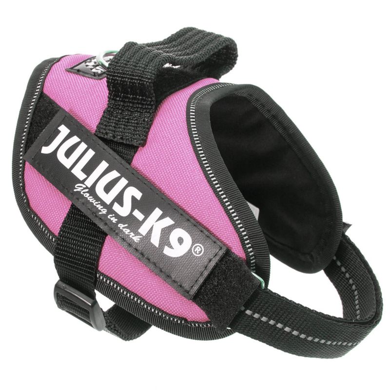 JULIUS-K9 IDC® Power Harness - Pink Size XS: Chest Circumference 40 - 53cm