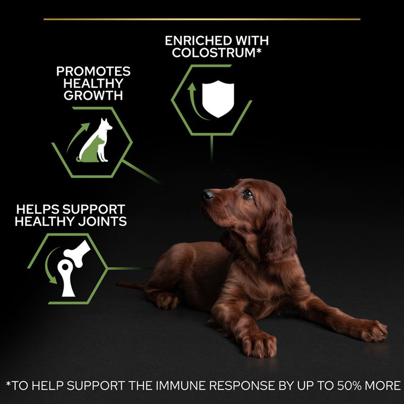 PURINA PRO PLAN Large Athletic Puppy Healthy Start 3kg