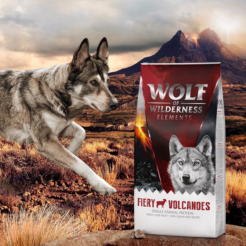 Wolf of Wilderness Sensitive Adult \