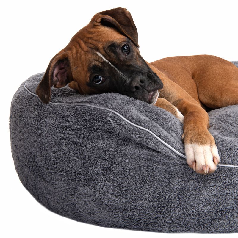 Modern Living Atlanta Dog Bed Size M