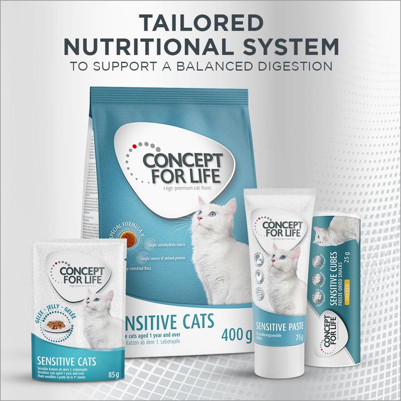 Concept for Life Sensitive Cubes 25g