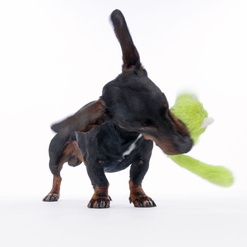 TIAKI Stretch Monster Ball Dog Toy 1 Toy