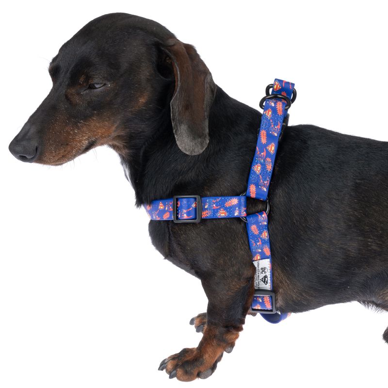 DC Superman Harness - Blue Size S: Chest Circumference 39 - 51 cm
