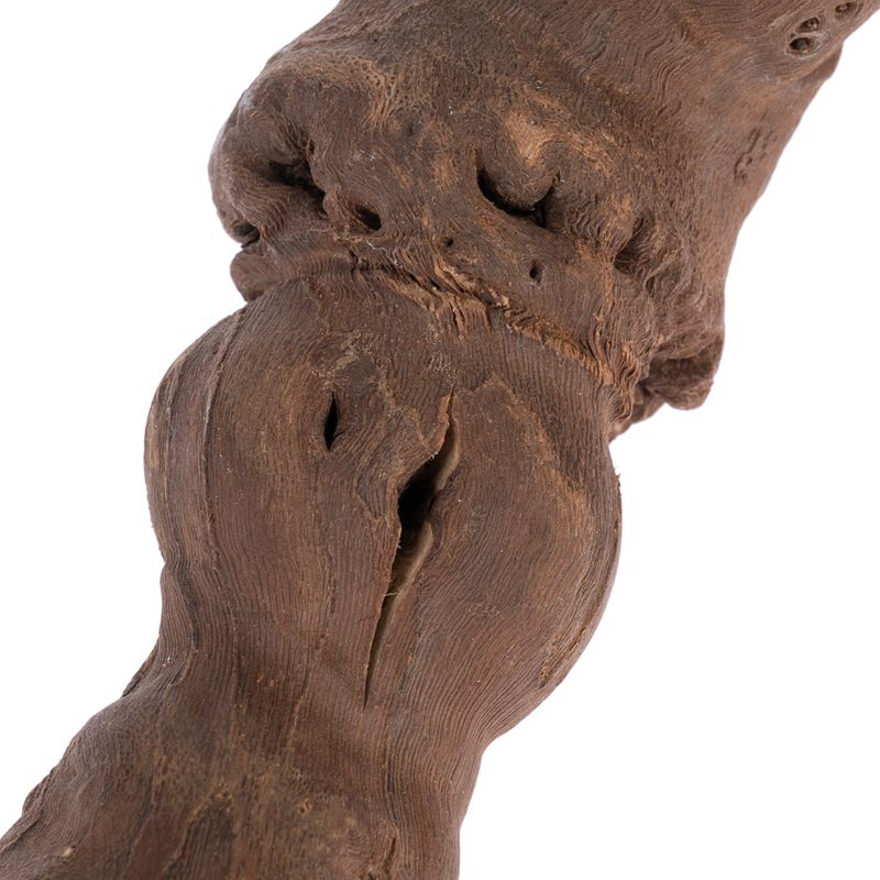 TIAKI Y-Shaped Vine Perch Size M: approx. 2.5 x 25cm (diameter x L)