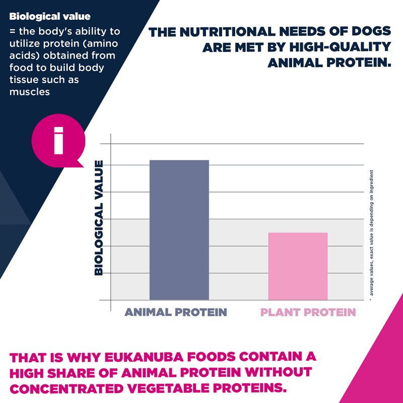 Eukanuba Premium Nutrition Adult Medium Breed Chicken 3kg