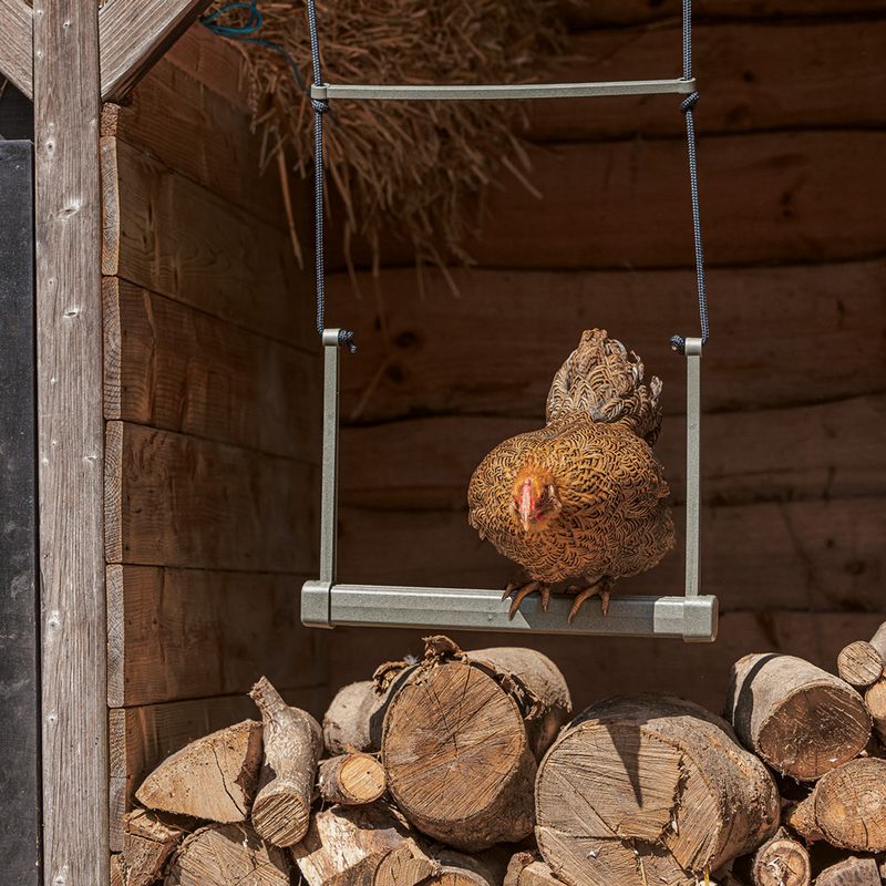 Beeztees Chicken Swing 40 x 5 x 30cm (L x W x H)