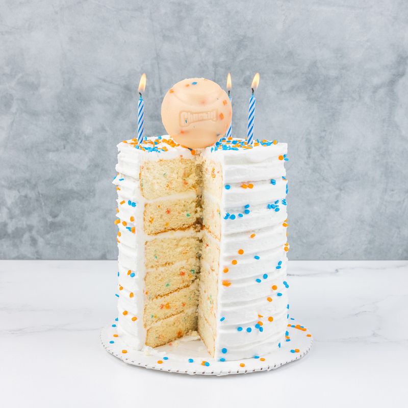 Chuckit! Birthday Fetch Ball 6.5 cm (W)