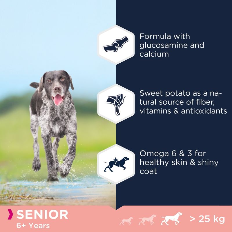 Eukanuba Senior Large Breed Grain-Free - Ocean Fish 12kg