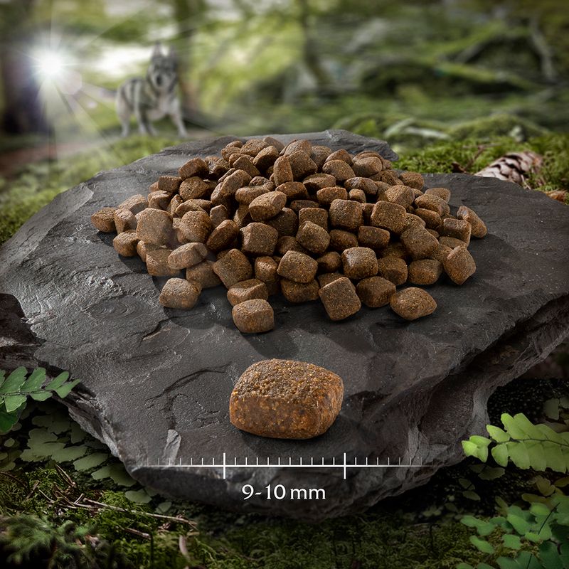 Wolf of Wilderness Mini Soft \