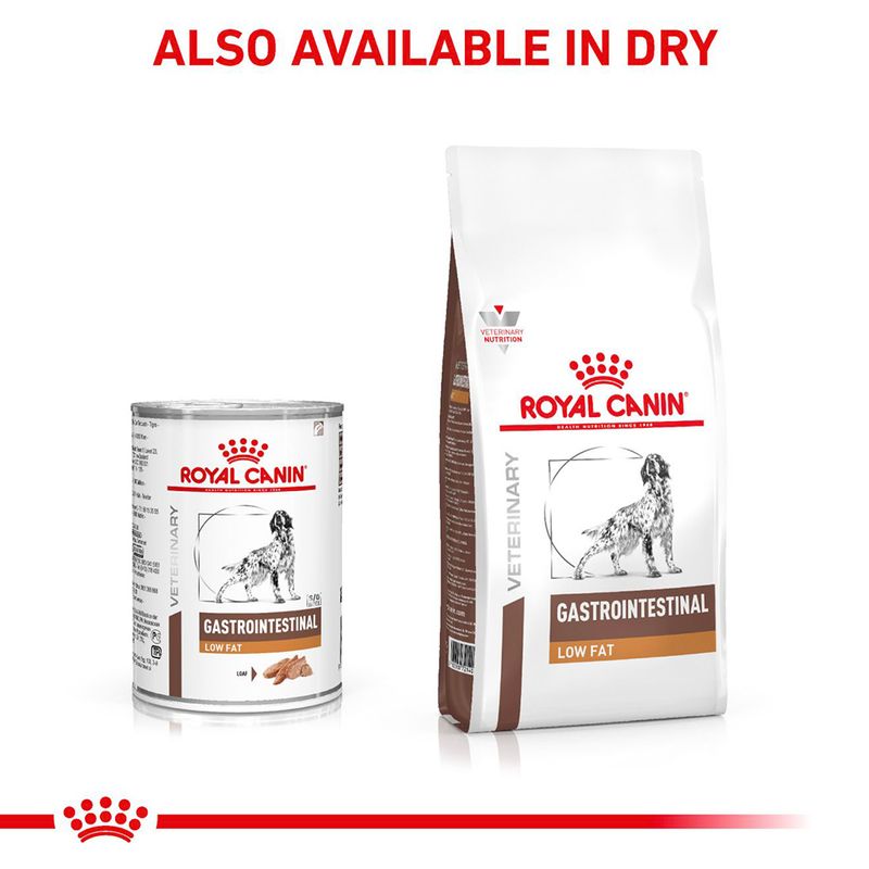 Royal Canin Veterinary Canine Gastrointestinal Low Fat Loaf 12 x 420g