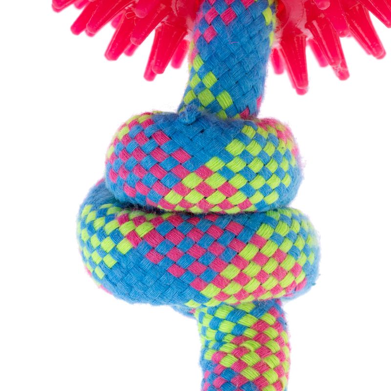 zooplus Basics Rope with Ball diameter 10 x (L) 32 cm