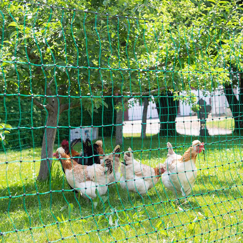 Kerbl Double Tip Powerless Poultry Net 25m x 106cm (L x W)