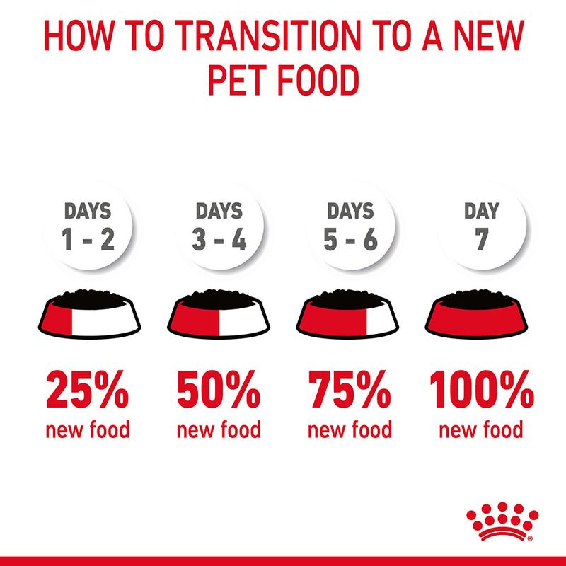 Royal Canin Digestive Care in Gravy 12 x 85g