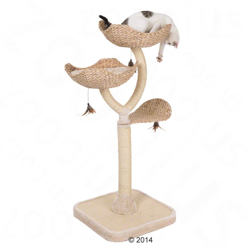 Flower Cat Tree Cream