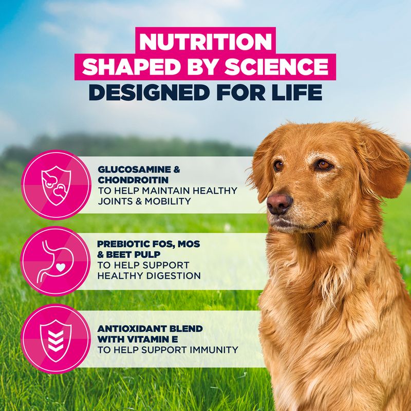 Eukanuba Premium Nutrition Senior Large & Giant Breed Lamb & Rice 12kg