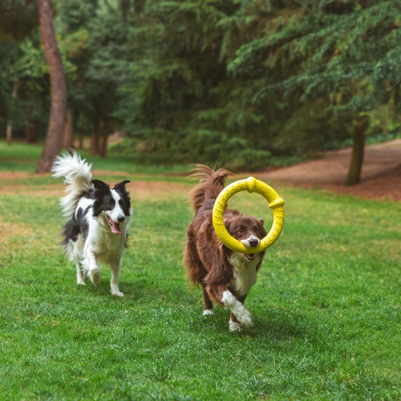 Nomad Tales Bloom Fitness Ring Size S: approx. Ø 18 cm